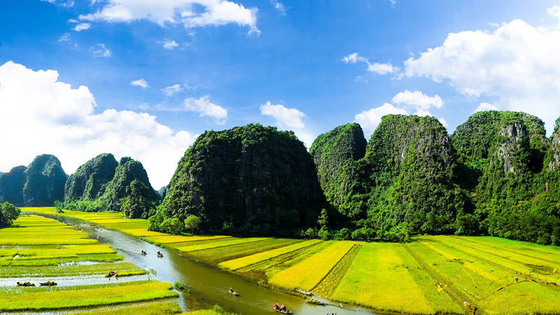 Grna risflt och berg i Ninh binh, Vietnam.